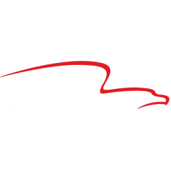 American Financial Group, Inc.