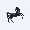 Lloyds Banking Group plc 9.25% NON-CUM IRR PRF SHS GBP0.25